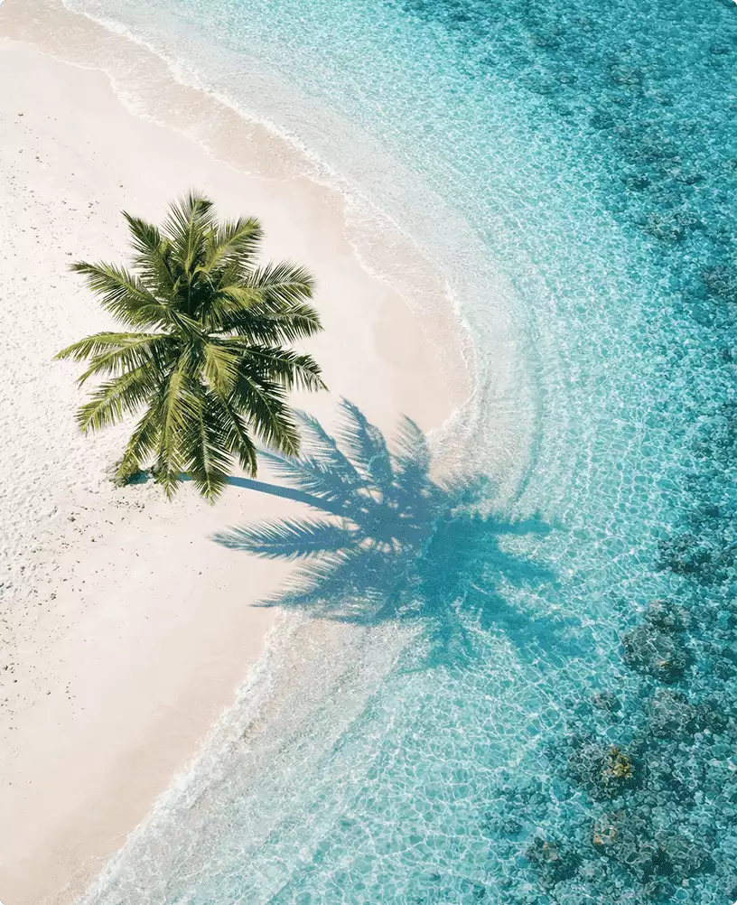 Vogelvluchtrender voor hotelmarketing met een palmboom op wit zand naast helder turquoise water