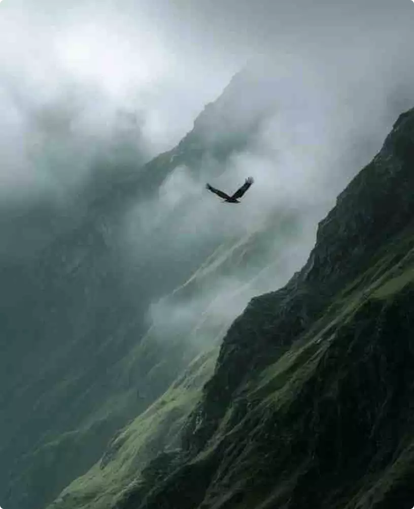 Referencia de render exterior de casa con un ave sobrevolando un valle de montaña entre la niebla