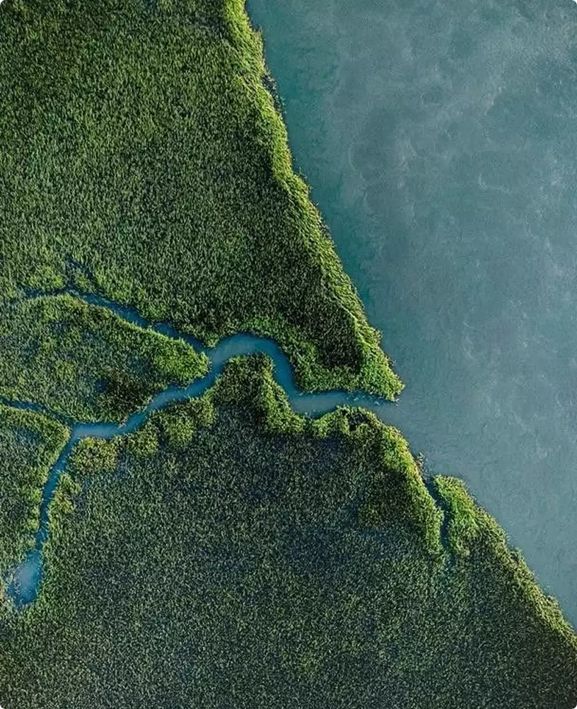 Vista aérea de marismas verdes atravesadas por canales de agua azul, usada como referencia del render de la casa