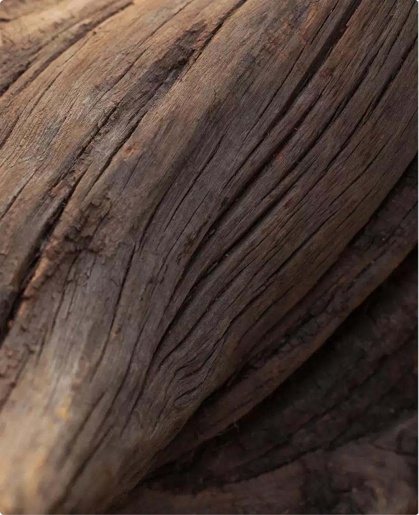 Texture di legno naturale con venatura grezza e segnata dal tempo su un esterno contemporaneo