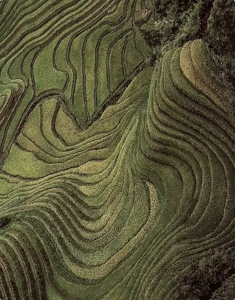 Visualisation 3D extérieure : champs en terrasses vus du ciel, courbes vertes superposées