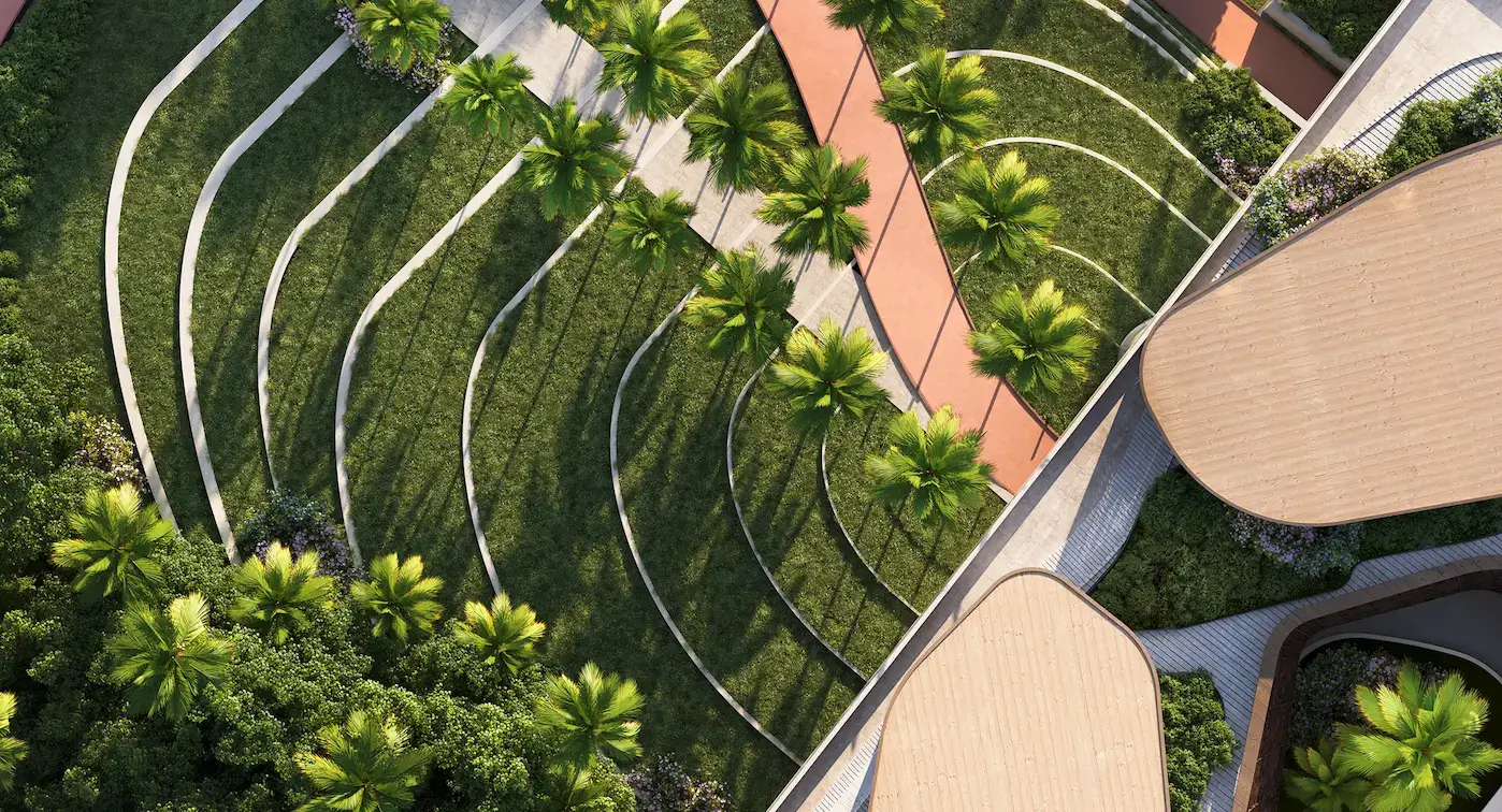 Aerial landscape with curved paths and palm trees, outsource 3D architectural rendering