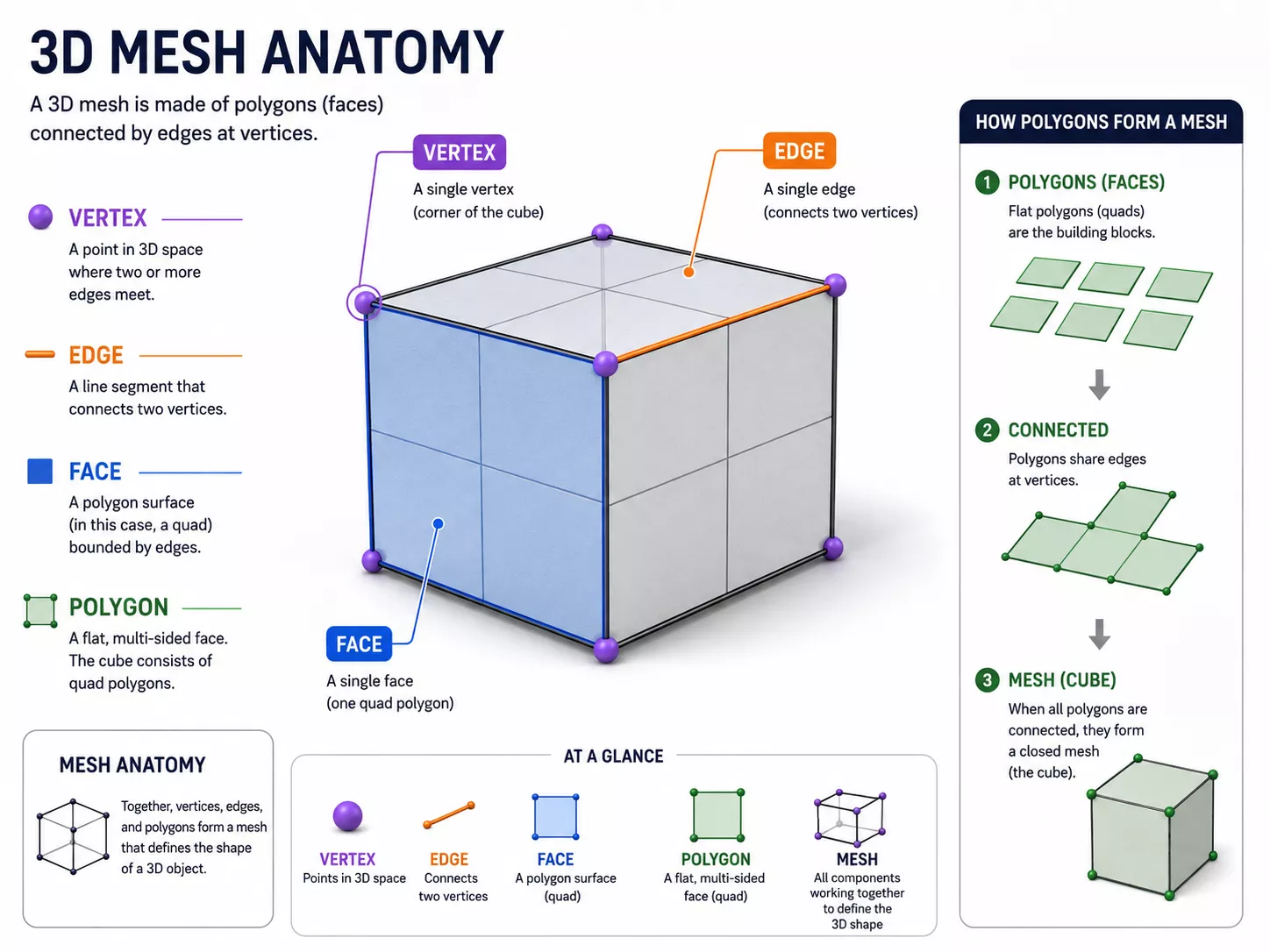 3D mesh anatomy diagram with a labeled cube explaining vertices, edges, faces, and polygons