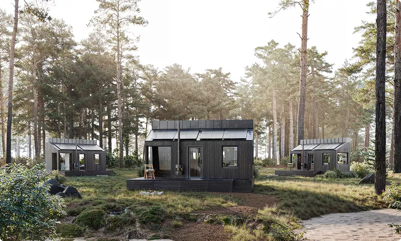 Cabins hero image in forest with small modern houses surrounded by trees