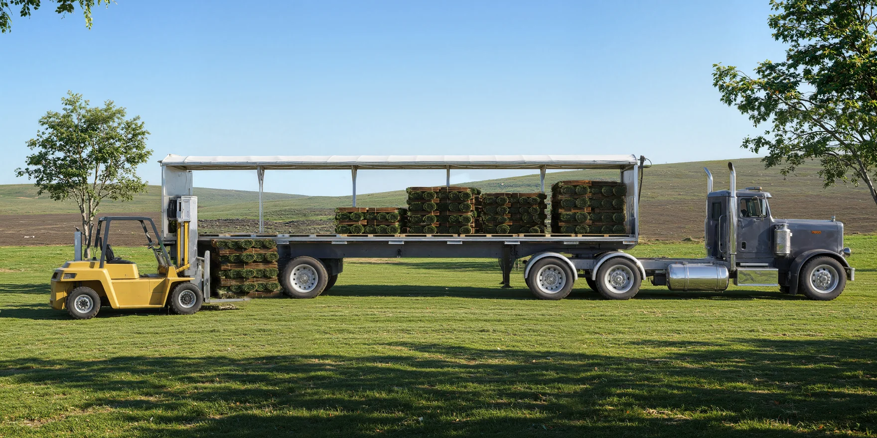 Render of a truck and flatbed trailer with a rolling tarp system rolled back while a forklift loads sod pallets on a farm