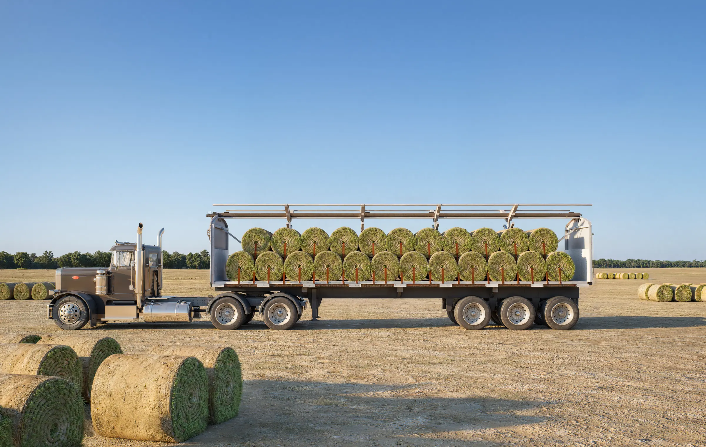 Side-profile render of a truck and flatbed loaded with sod rolls under a rolled-back tarp system on a sod farm