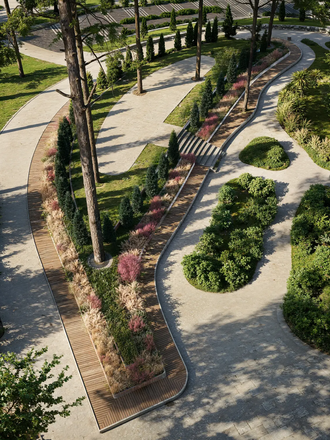 Erhöhtes Hochformat-Rendering von Holzdecks entlang von Wiesenbeeten mit rosa Gräsern, Säulenkoniferen und Stufen in einem Park