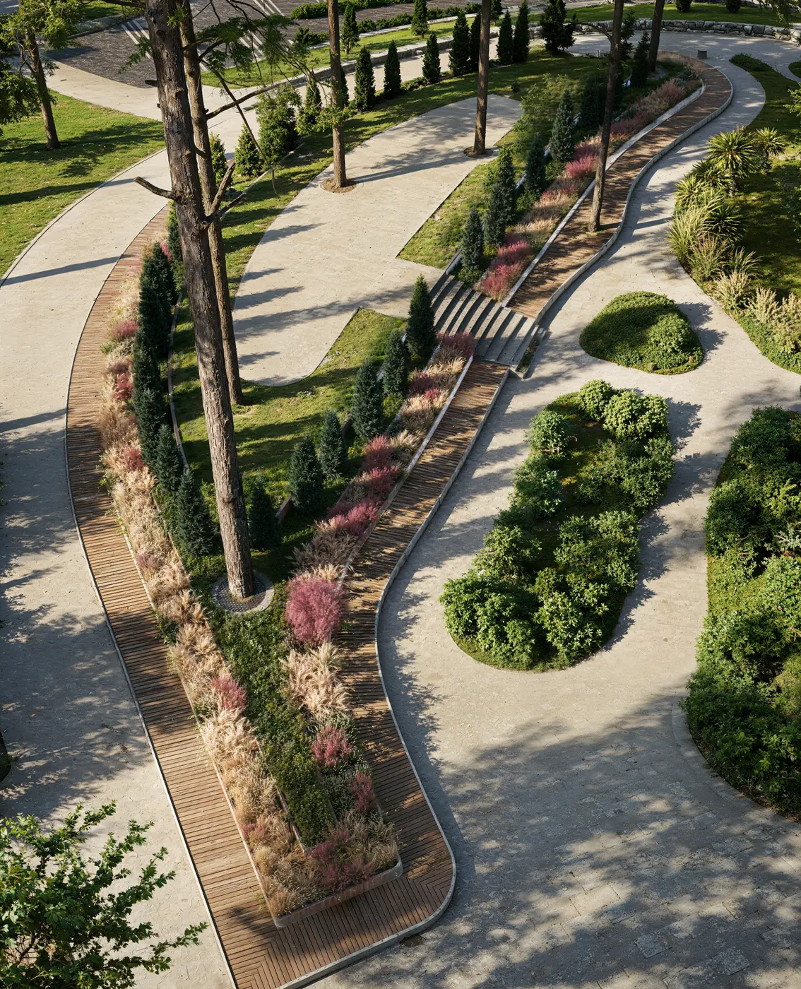 Portrait elevated render of timber decks along meadow beds with pink grasses, columnar conifers and steps in an urban park