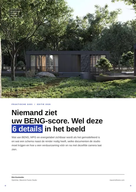 Omslag van de gids: Niemand ziet uw BENG-score. Wel deze 6 details in het beeld