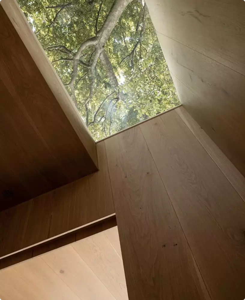 3D office tour of a skylight framed by wood walls with tree branches above