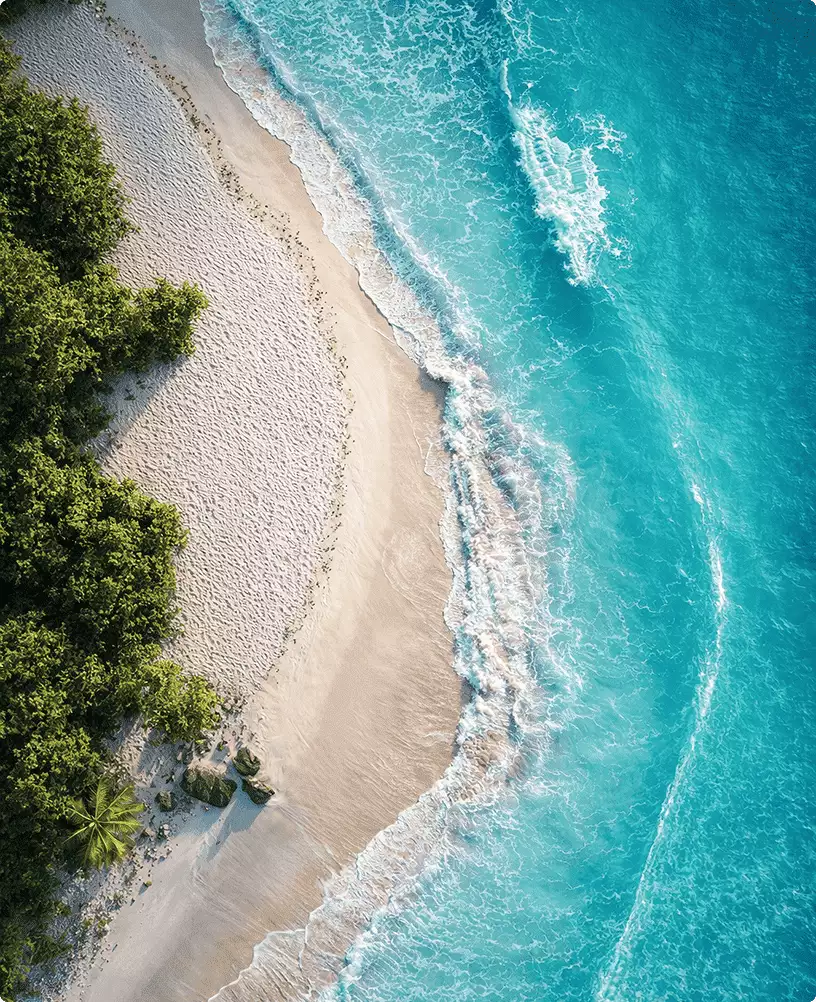 Aerial 3d rendering for hotel marketing shows white sand beach, turquoise waves, and coastal greenery