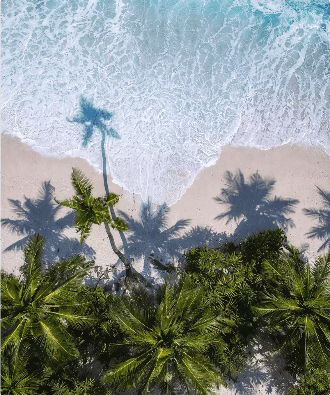 Aerial 3d rendering for hotel marketing shows palms, white sand, surf, and long beach shadows