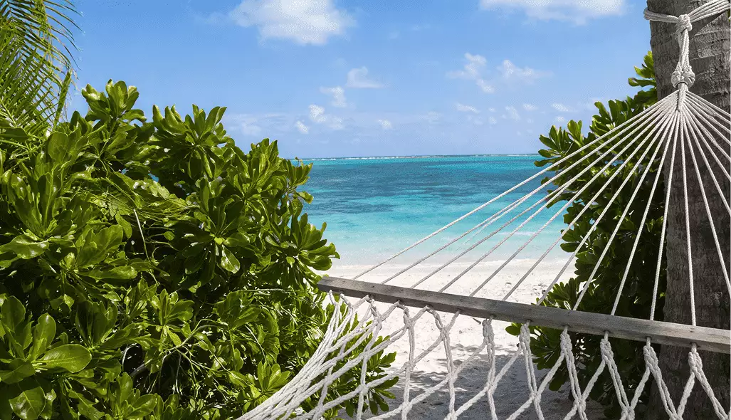 Beach hammock in 3d hotel renderings faces turquoise sea between tropical greenery and palm trunk