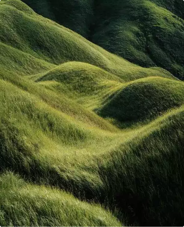 Bird eye view rendering of rolling green grass mounds with soft light and layered organic contours
