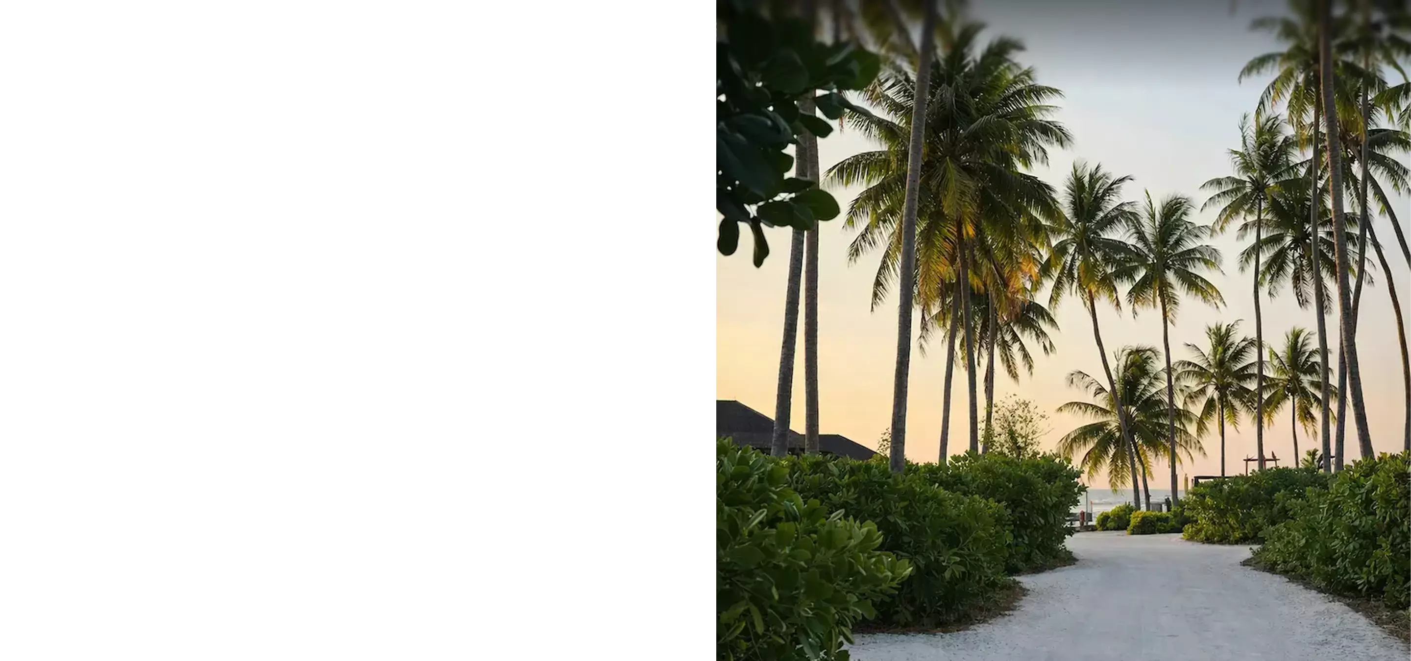 Palm tree path at sunset, CGI vs AI Choosing the Right Visual Strategy for Marketing Campaigns