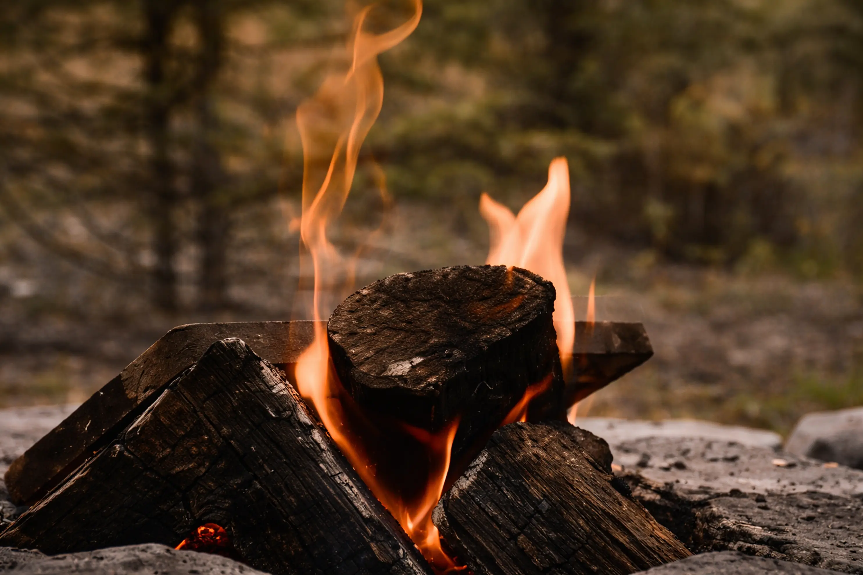 burning campfire logs with orange flames in forest setting, cgi vs ai difference between cgi and ai comparison