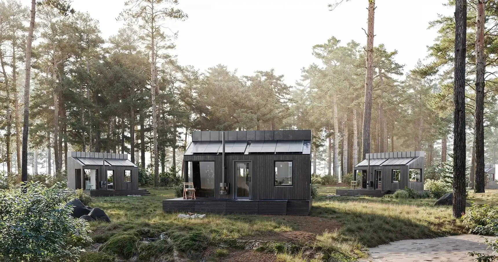 Contemporary architecture black cabins in a pine forest clearing, with decks and tall trees