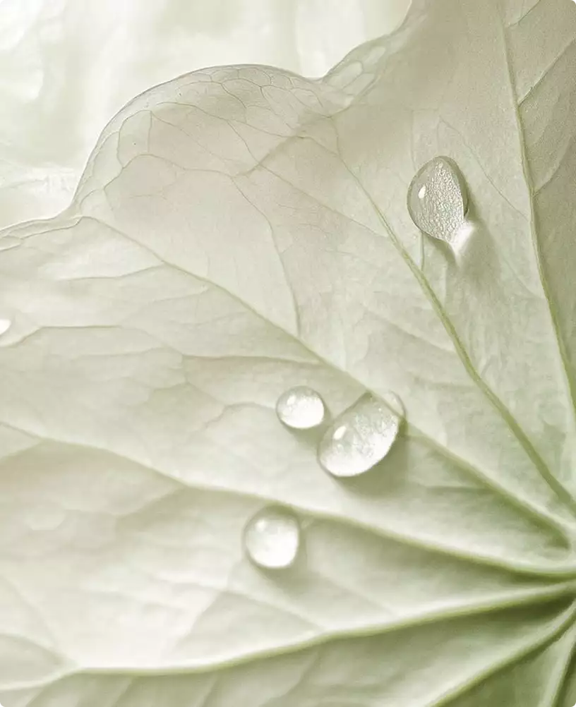 Medical center exterior rendering with pale leaf texture and water droplets in close-up