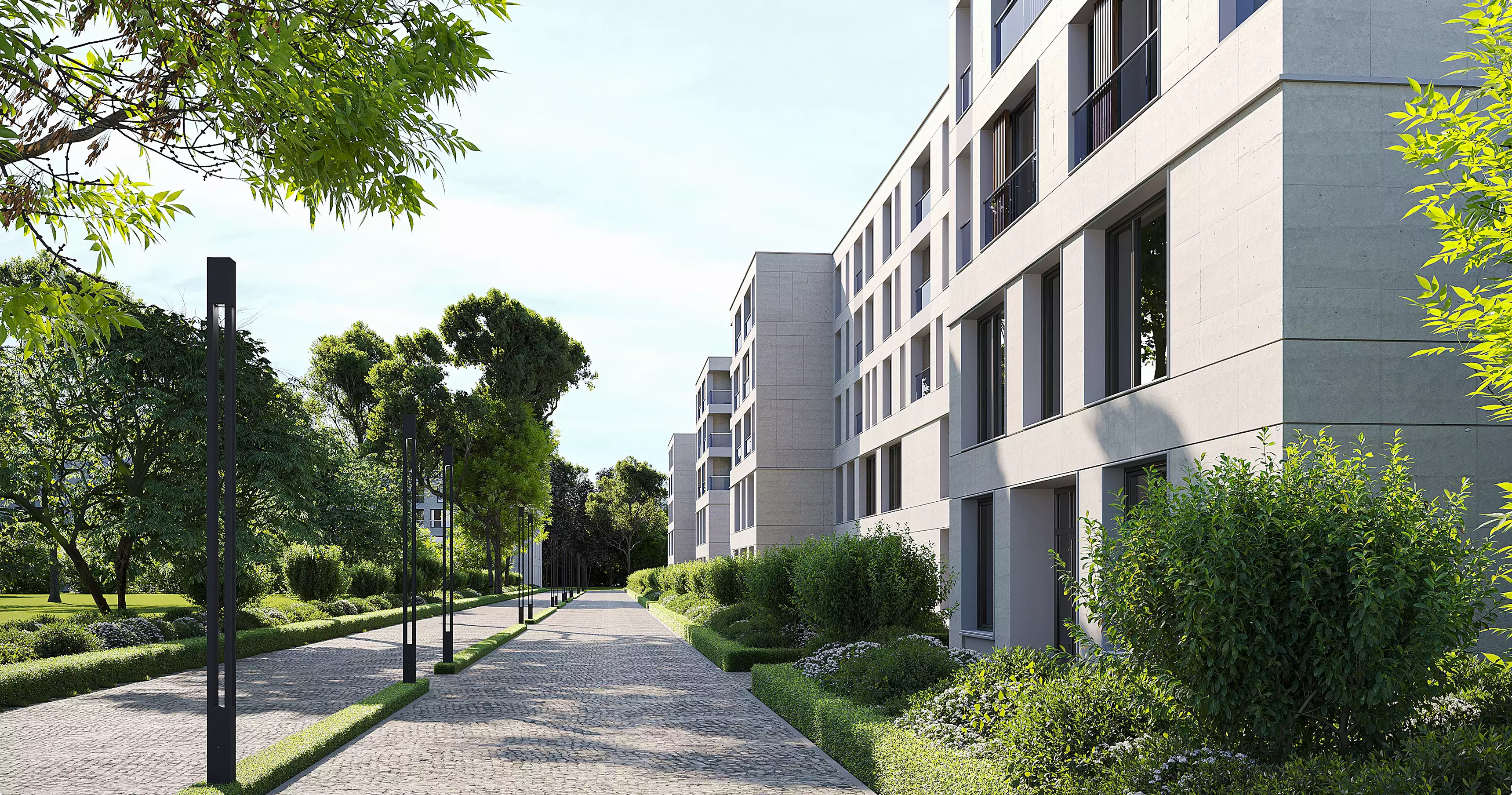 Residential complex design modern apartment buildings along landscaped walkway with trees and greenery