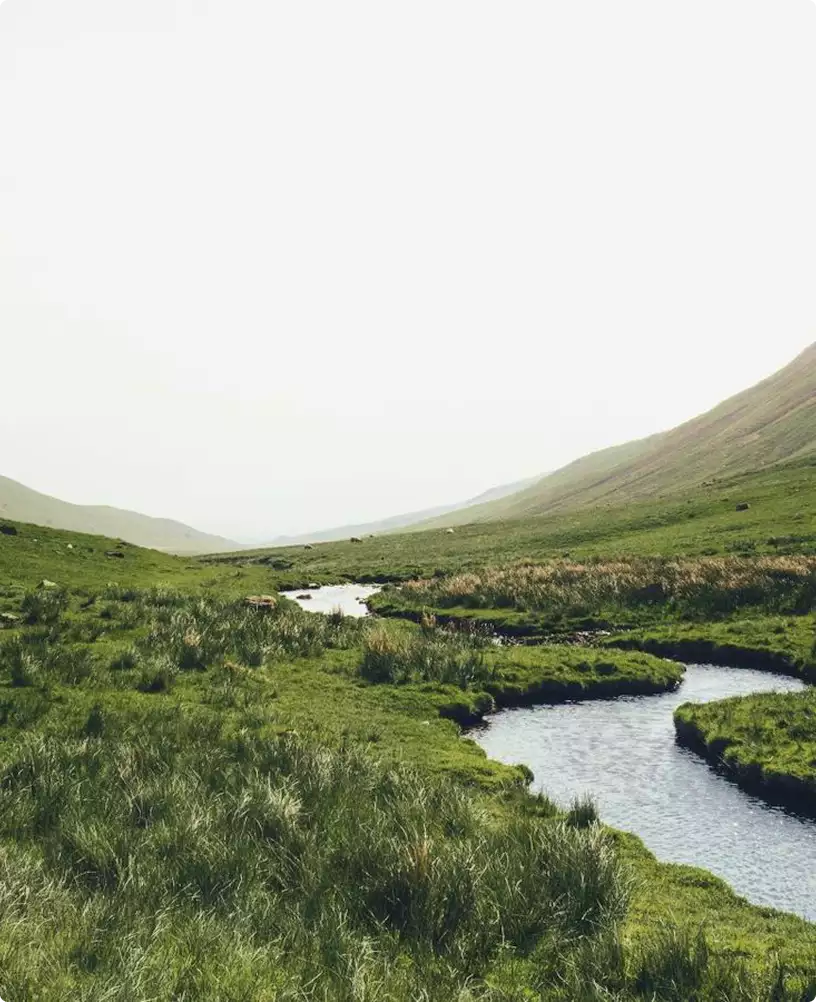 Residential complex design concept with winding river flowing through green valley landscape