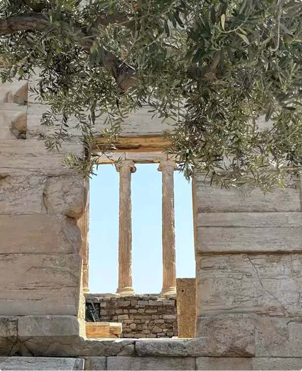 Stone window framing ancient columns, residential architectural renderings, beneath olive branches