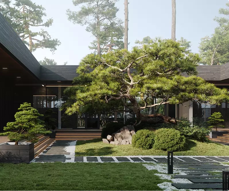 3D architectural exterior rendering for a courtyard garden with a sculpted pine and stone path