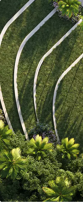 3D exterior visualization services for curved landscape paths through grass with palm trees