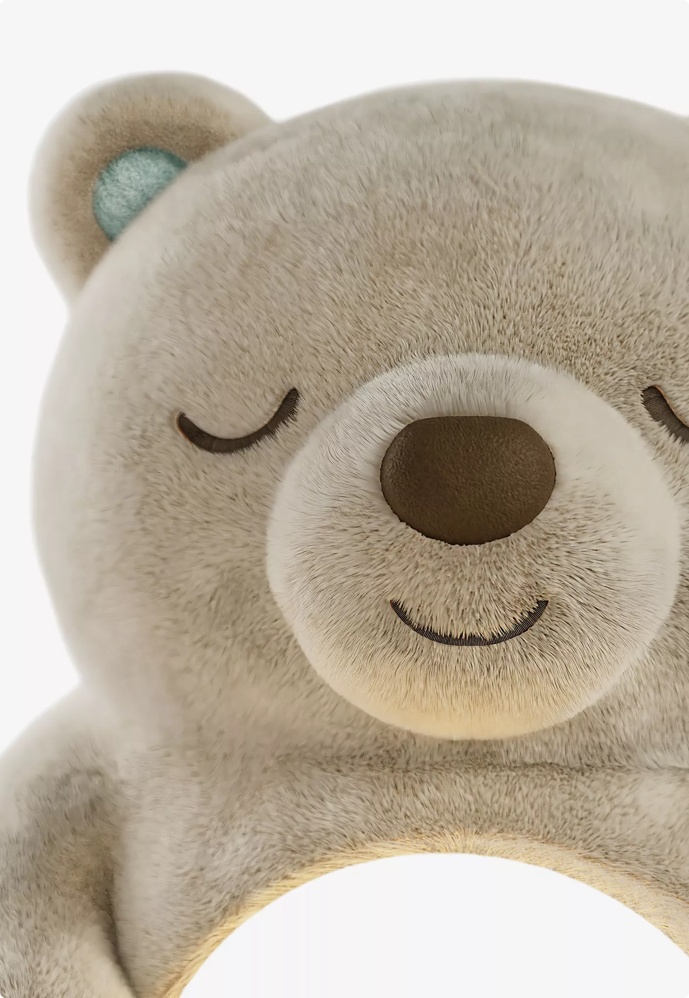 Close-up bear face render with soft fur for 3D Product Modeling Portfolio