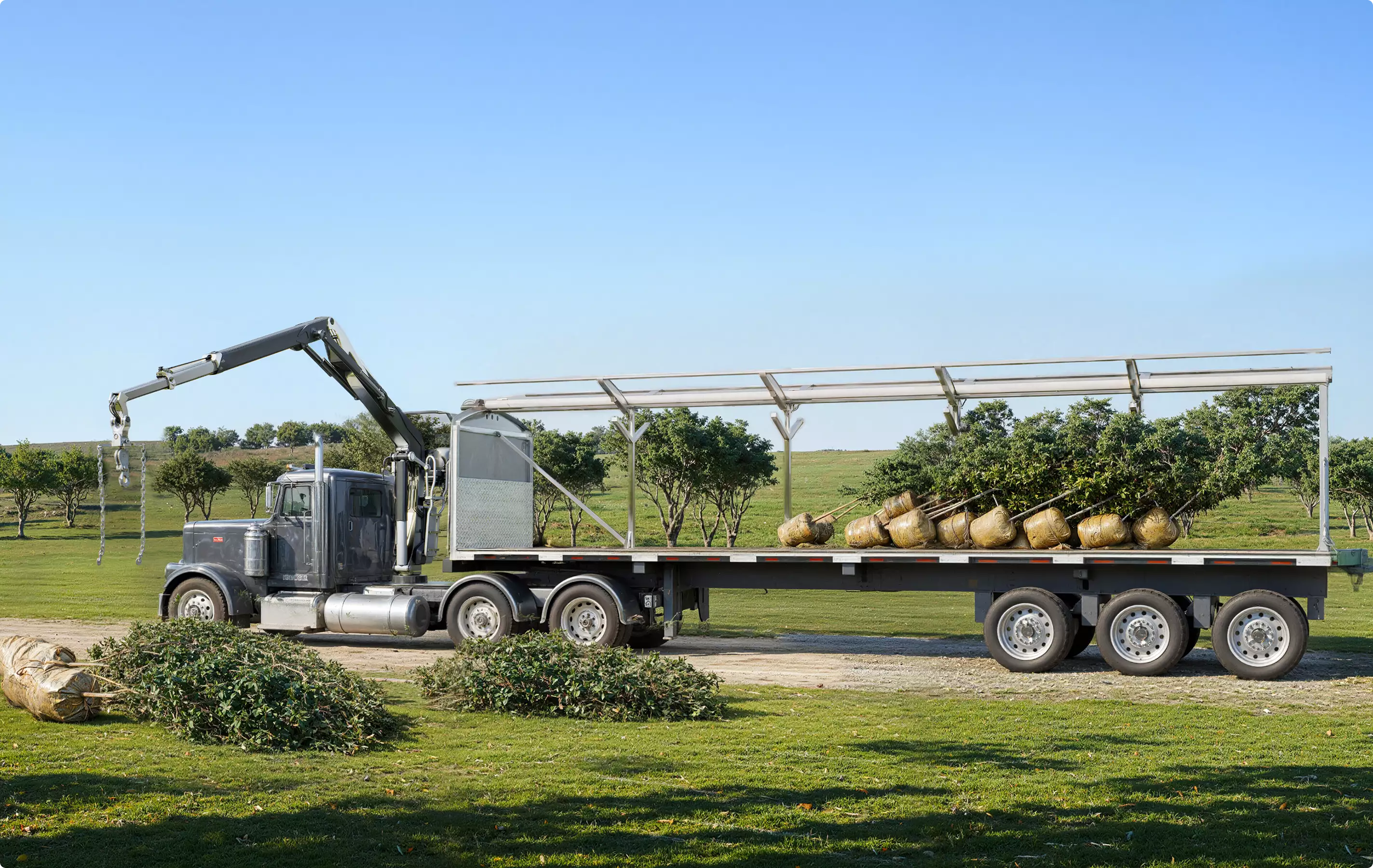 Flatbed truck carrying wrapped trees beside crane arm, Automotive Rendering Service