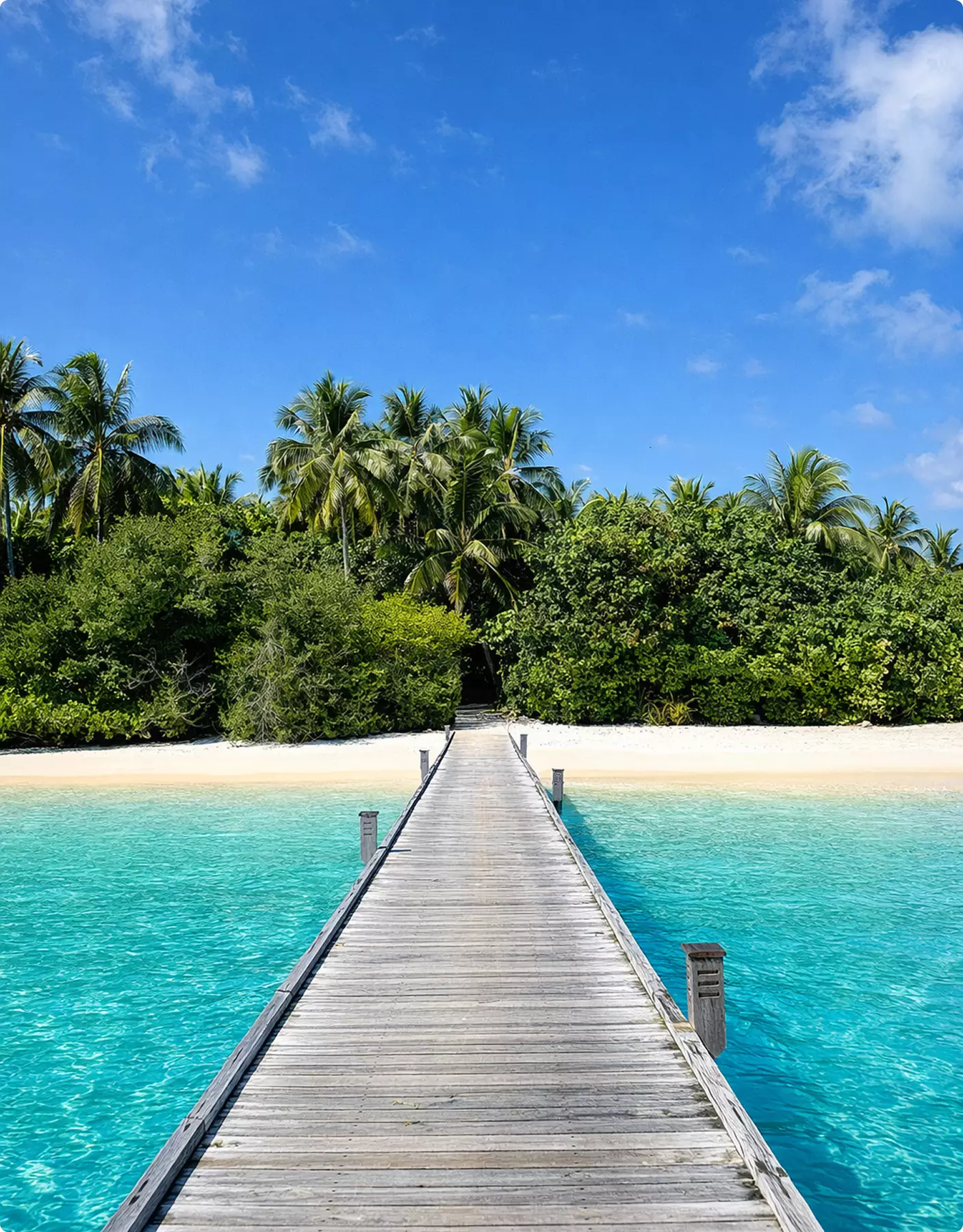 Wooden pier leading to tropical beach and palms, Site Plan and Aerial Rendering Services