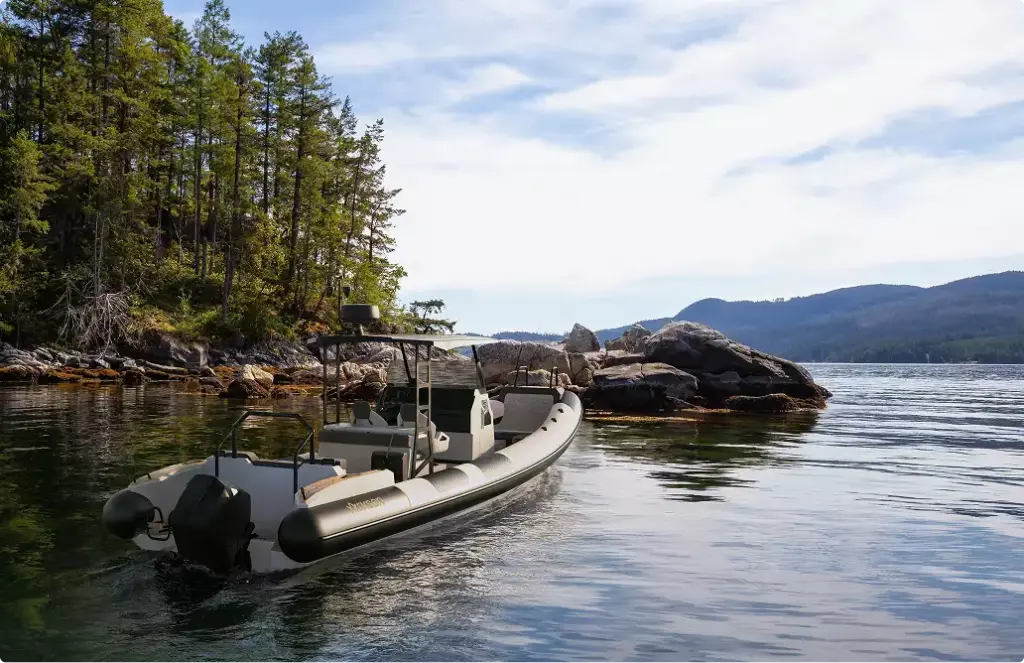 Rigid inflatable yacht rendering near forest shoreline with calm water and rocky outcrop