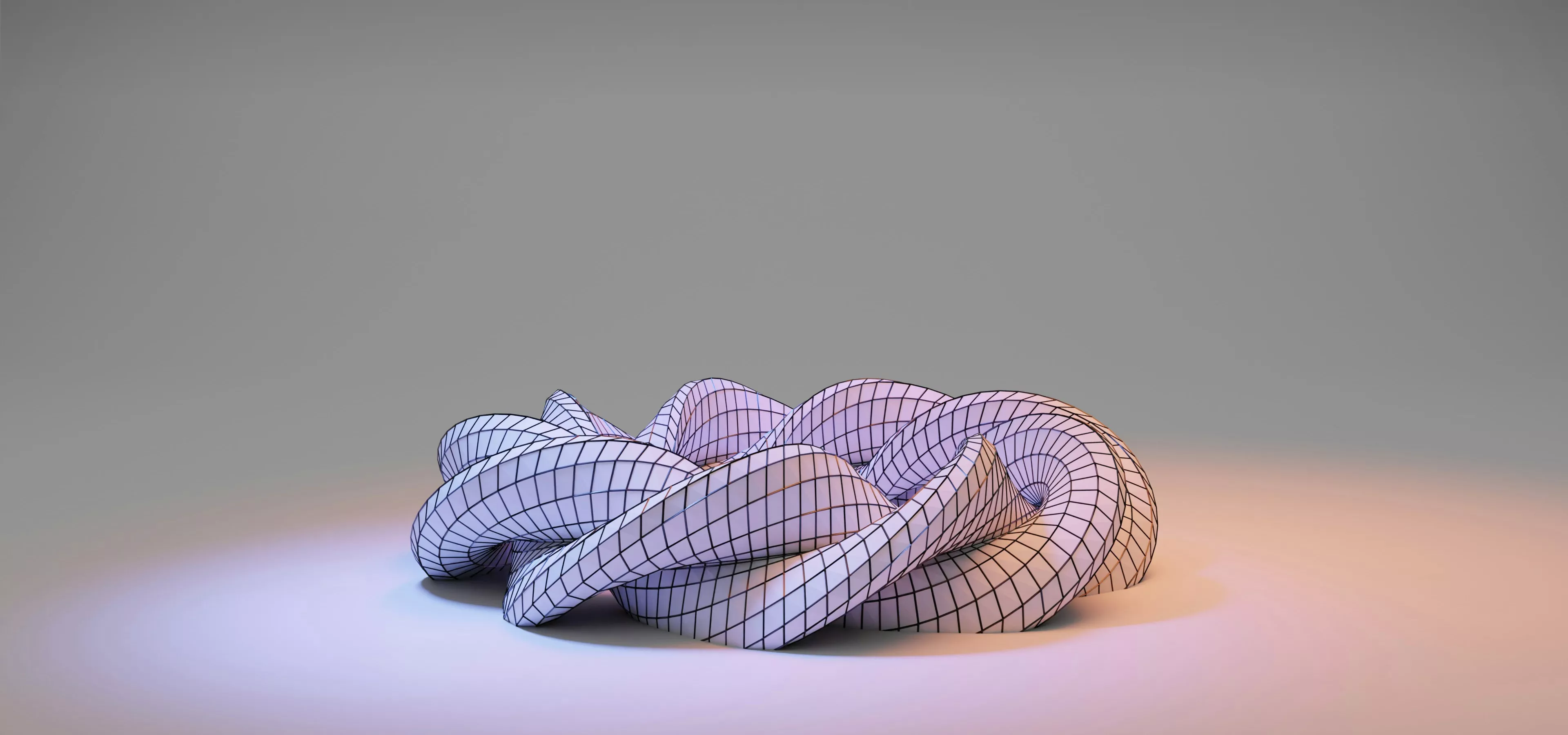 Wireframe mesh of a twisted organic 3D shape showing polygon topology on a neutral gradient background